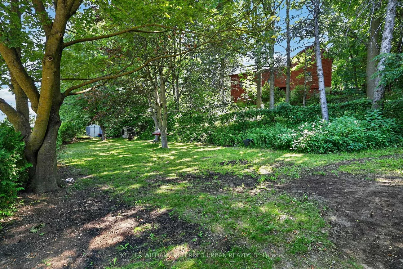 341, Cotter, Central Newmarket, Newmarket