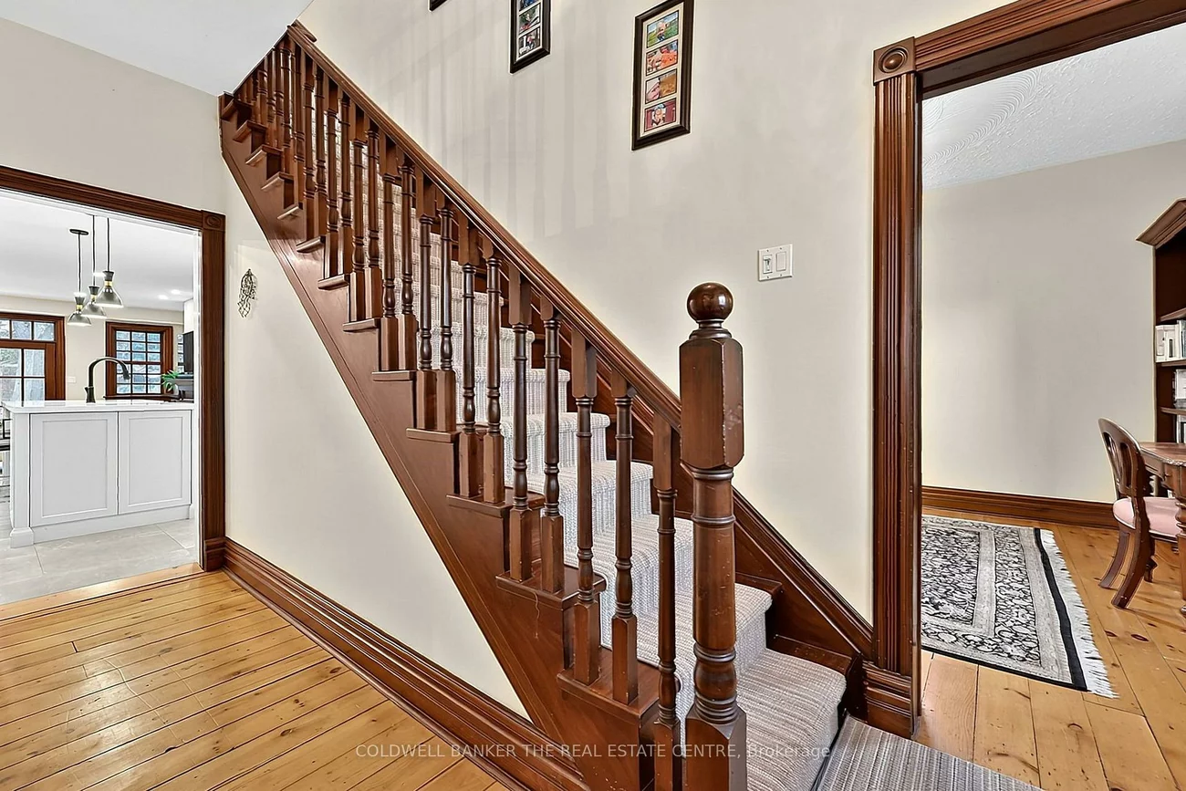 296, Eagle, Central Newmarket, Newmarket
