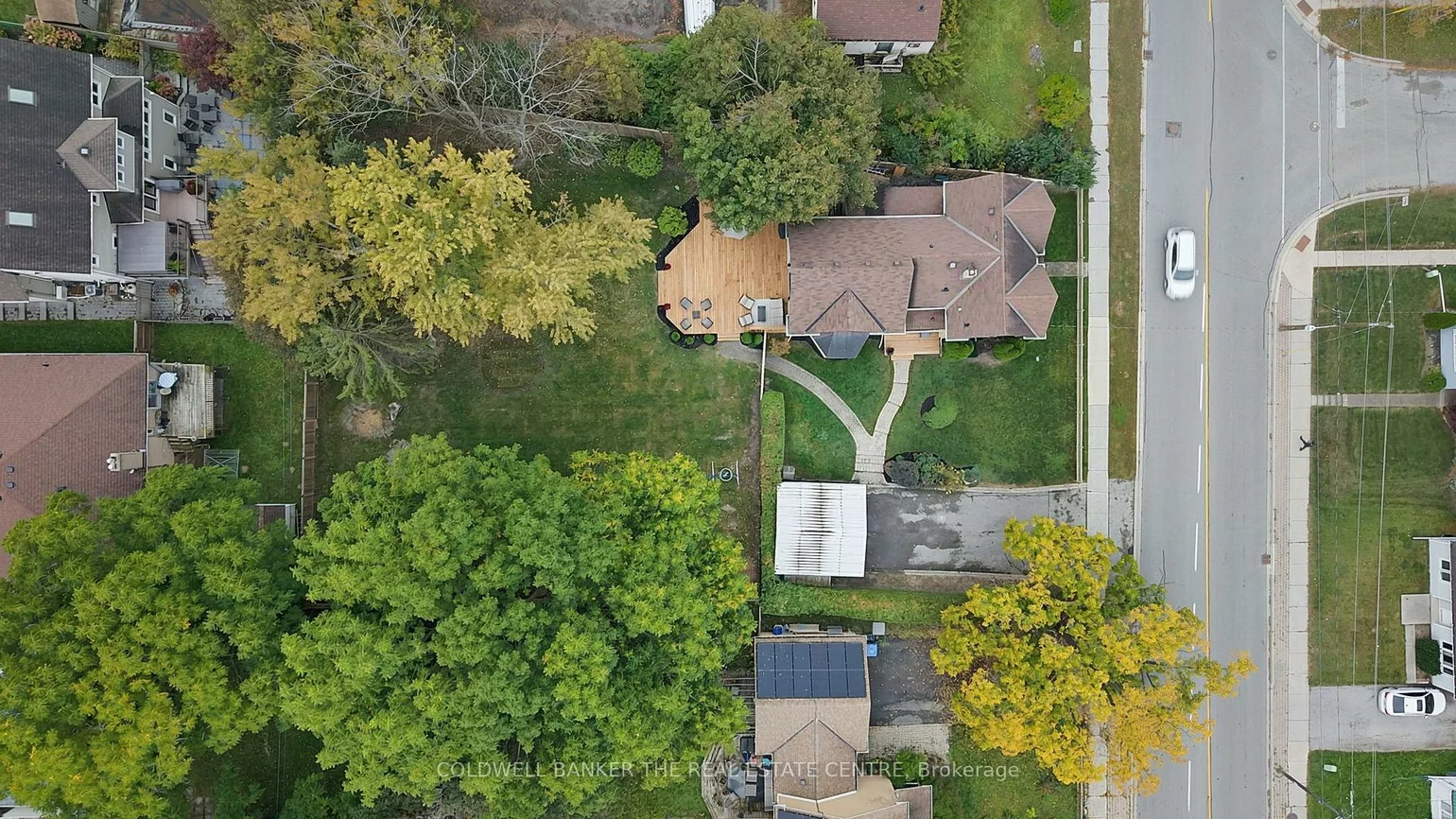 296, Eagle, Central Newmarket, Newmarket