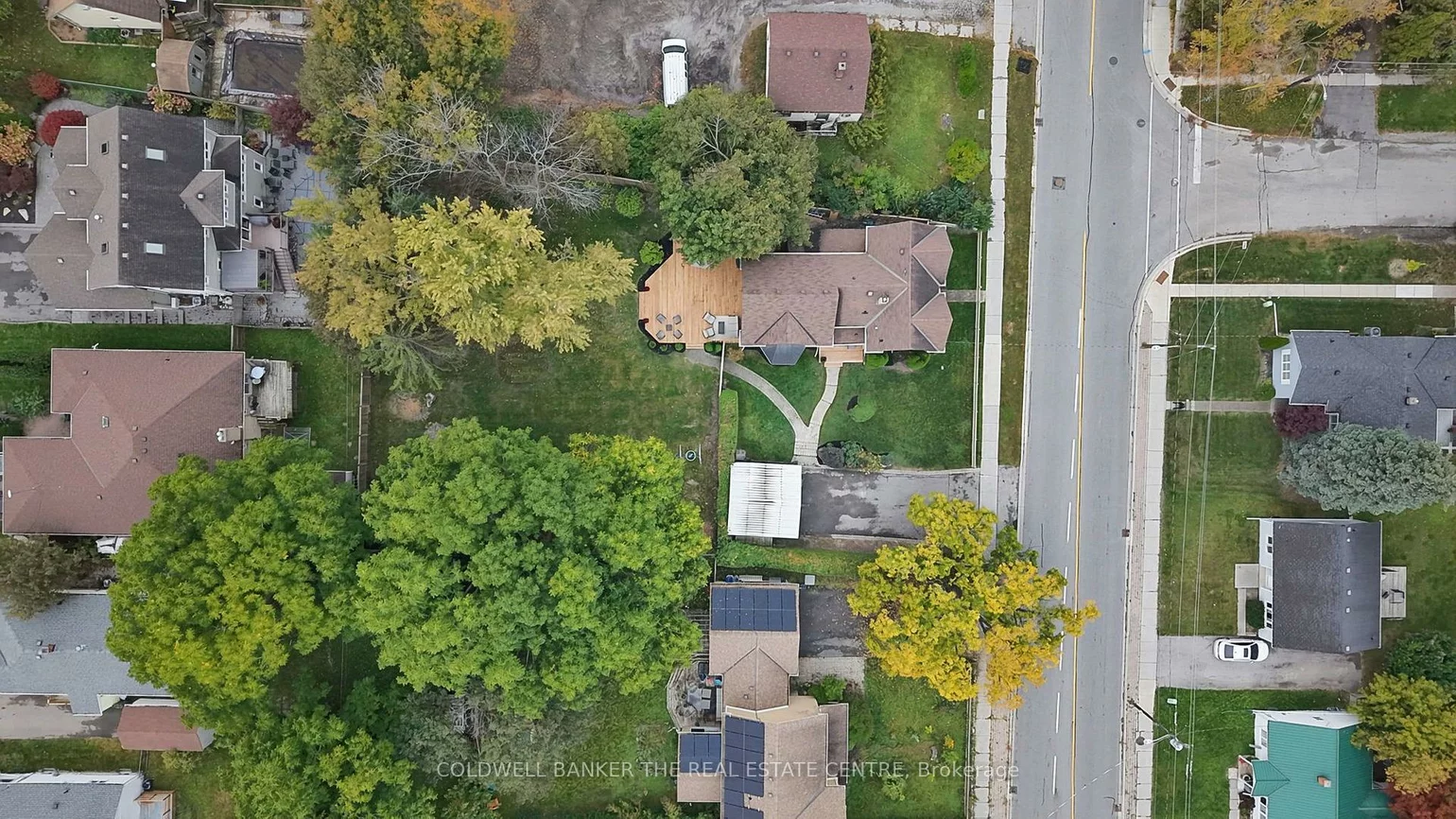 296, Eagle, Central Newmarket, Newmarket
