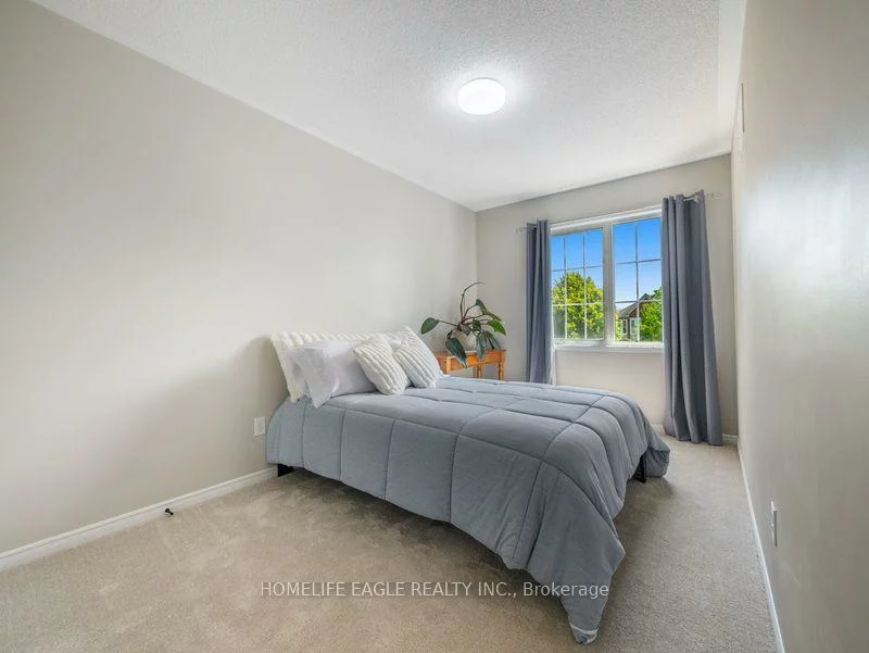 479, Heddle, Stonehaven-Wyndham, Newmarket