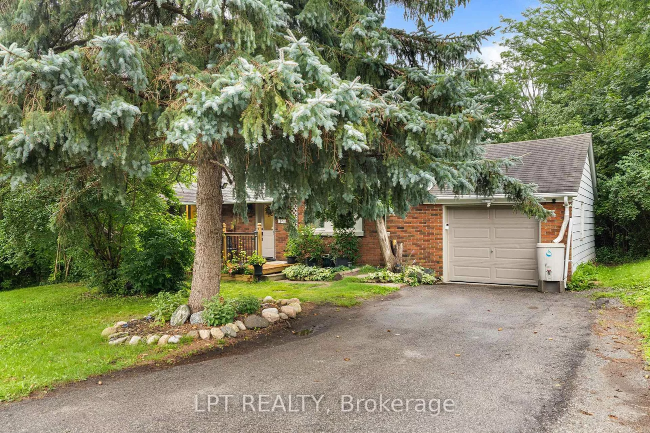 98, Don Mor, Central Newmarket, Newmarket