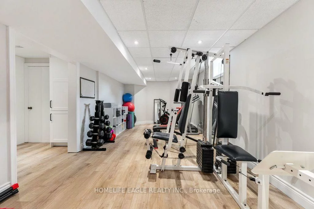 255, Savage, Armitage, Newmarket