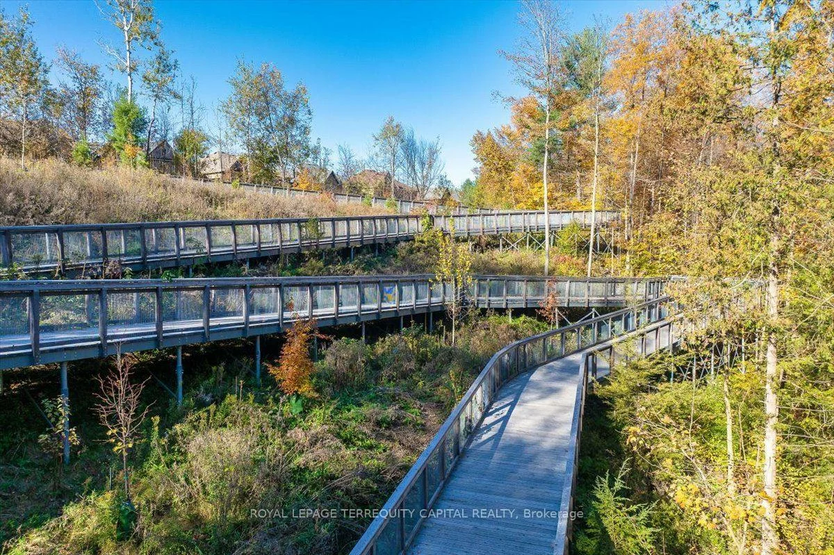 613, Clifford Perry, Woodland Hill, Newmarket
