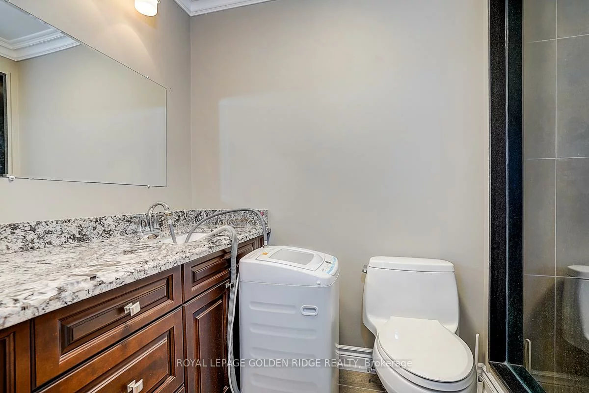 725, Exceller, Stonehaven-Wyndham, Newmarket