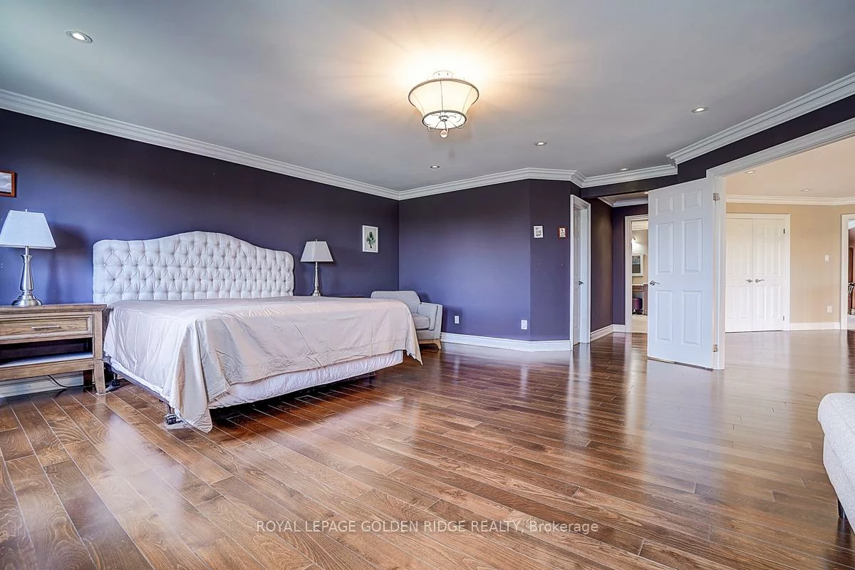 725, Exceller, Stonehaven-Wyndham, Newmarket