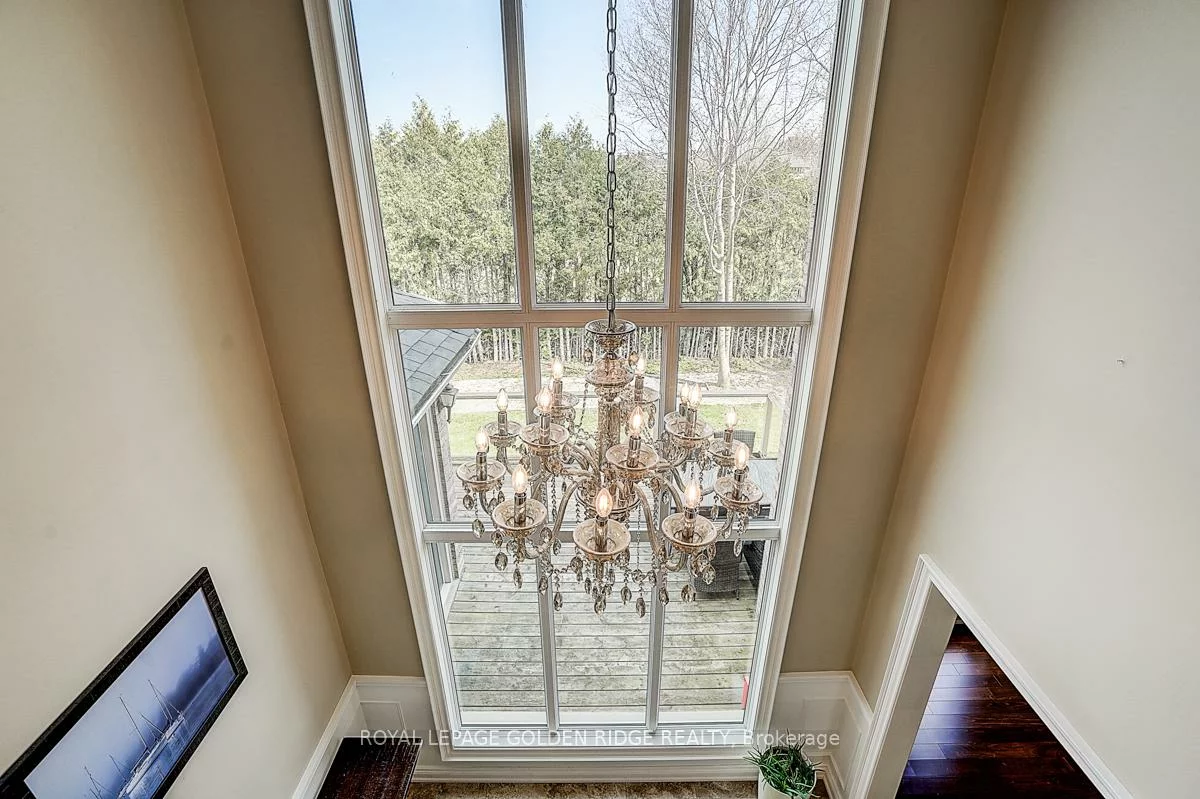 725, Exceller, Stonehaven-Wyndham, Newmarket