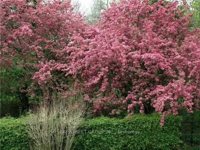 1390, Hastings, 1005 - FA Falgarwood, Oakville