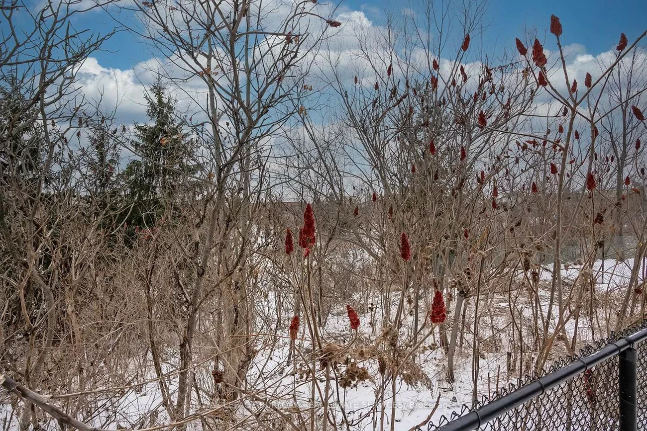 2105, Falling Green, 1019 - WM Westmount, Oakville