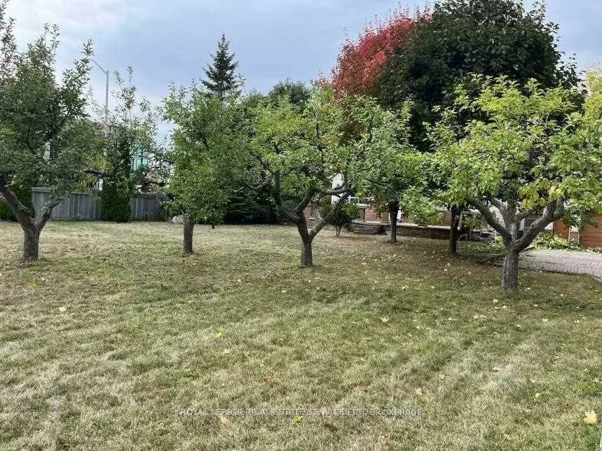 235, Lakeshore, 1002 - CO Central, Oakville