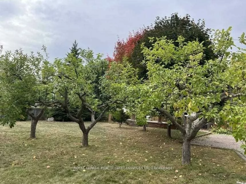 235, Lakeshore, 1002 - CO Central, Oakville