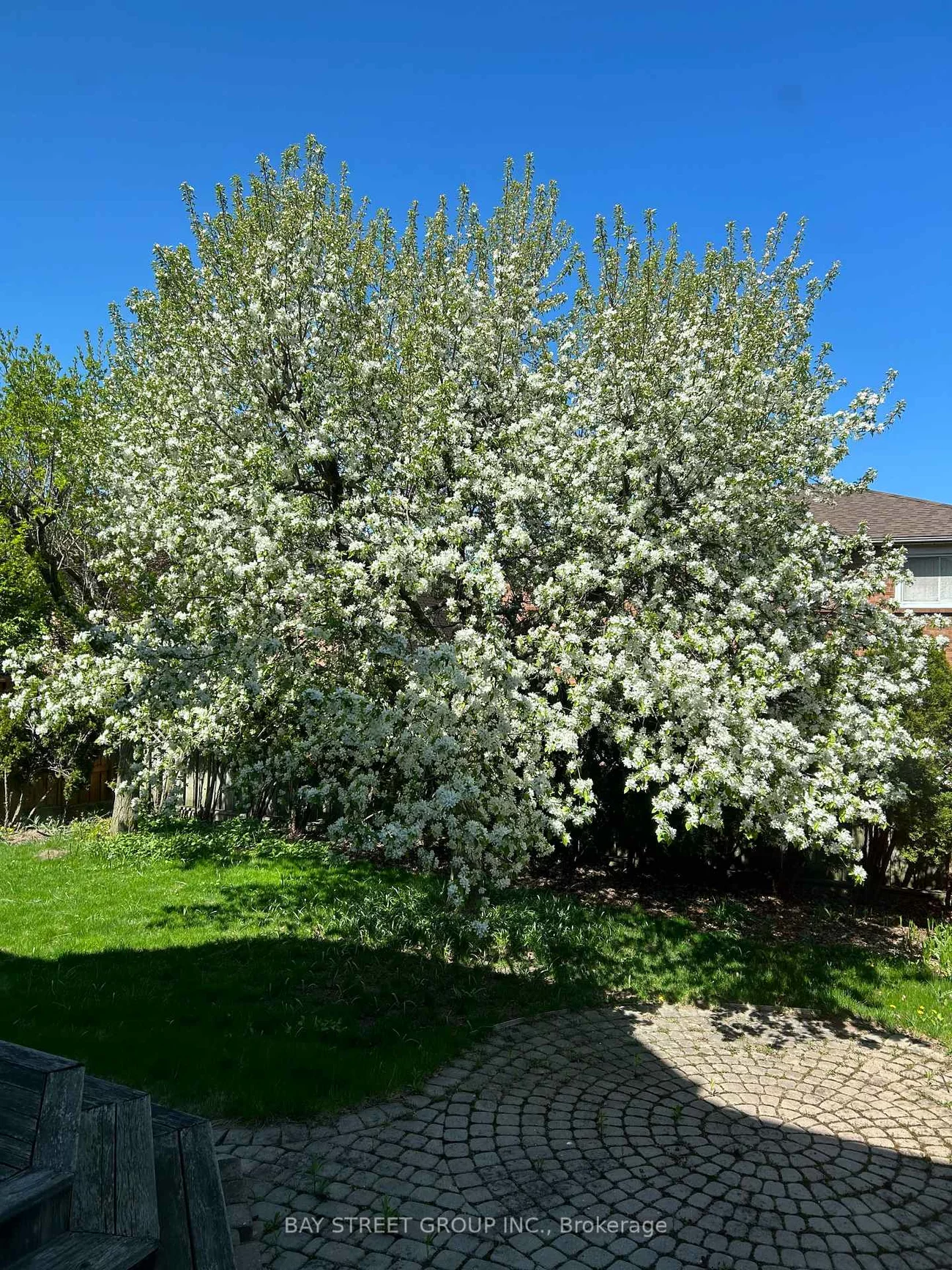 1369, Bishopstoke, 1004 - CV Clearview, Oakville