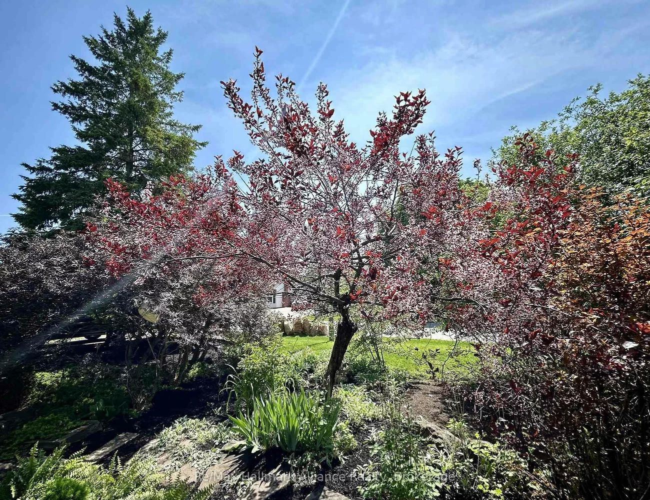 1089, Churchill, 1003 - CP College Park, Oakville