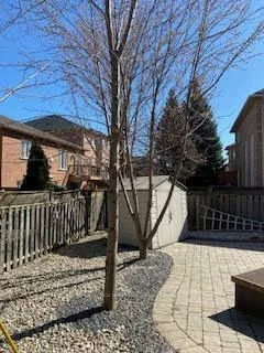 2083, Jaguar, 1019 - WM Westmount, Oakville