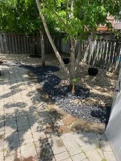 2083, Jaguar, 1019 - WM Westmount, Oakville