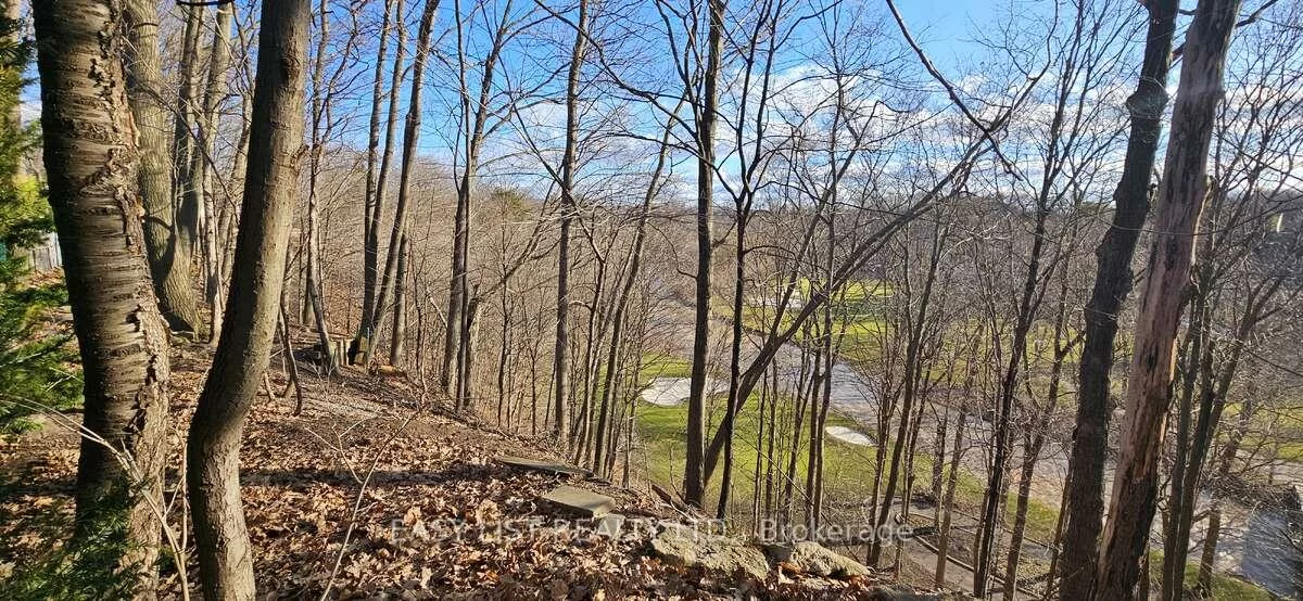 1320, Odessa, 1003 - CP College Park, Oakville