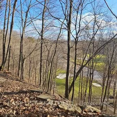 1320, Odessa, 1003 - CP College Park, Oakville