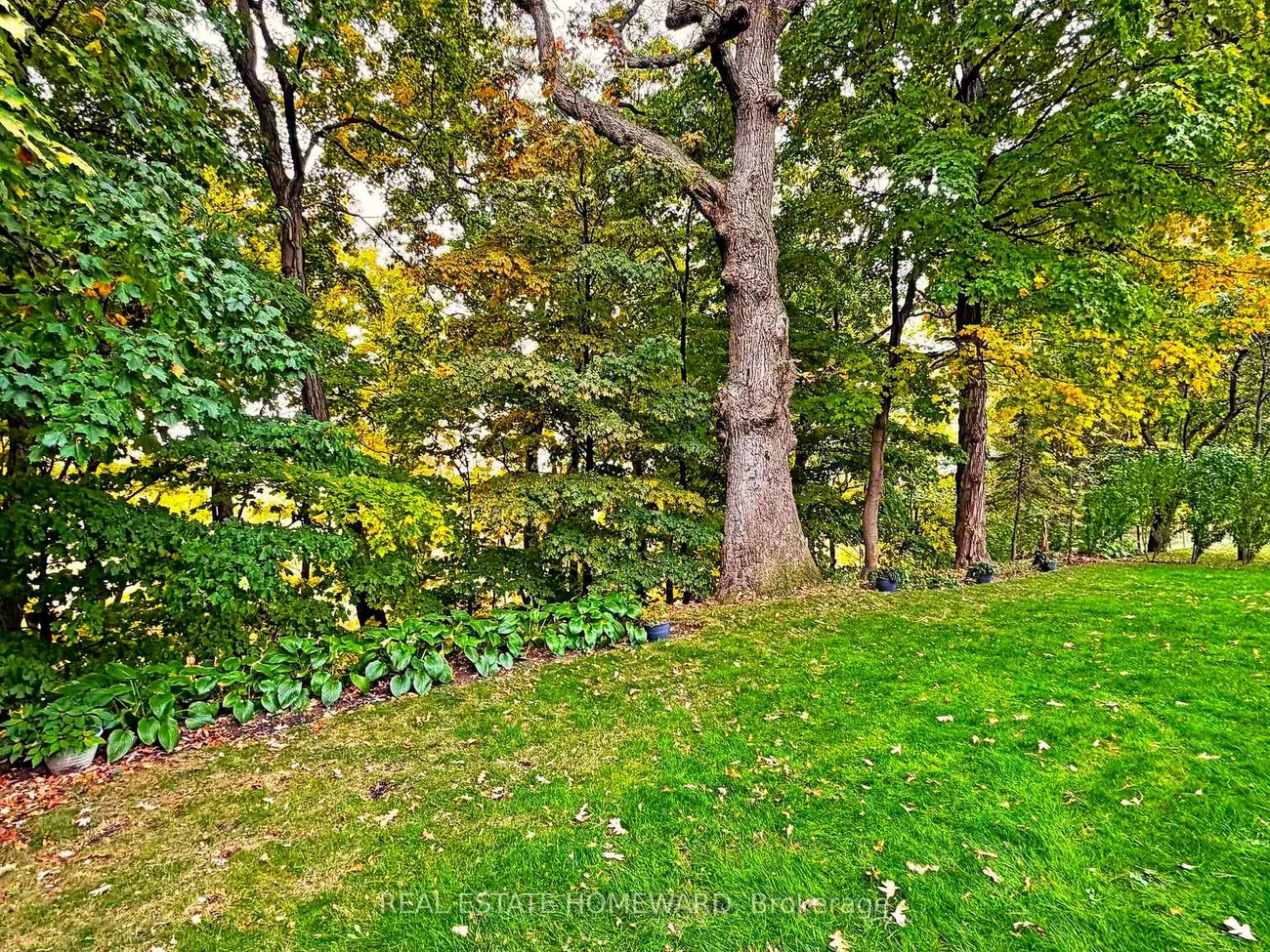 3058, Viewmount, 1020 - WO West, Oakville