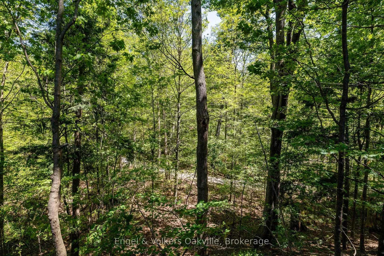 1329, White Oaks, 1005 - FA Falgarwood, Oakville