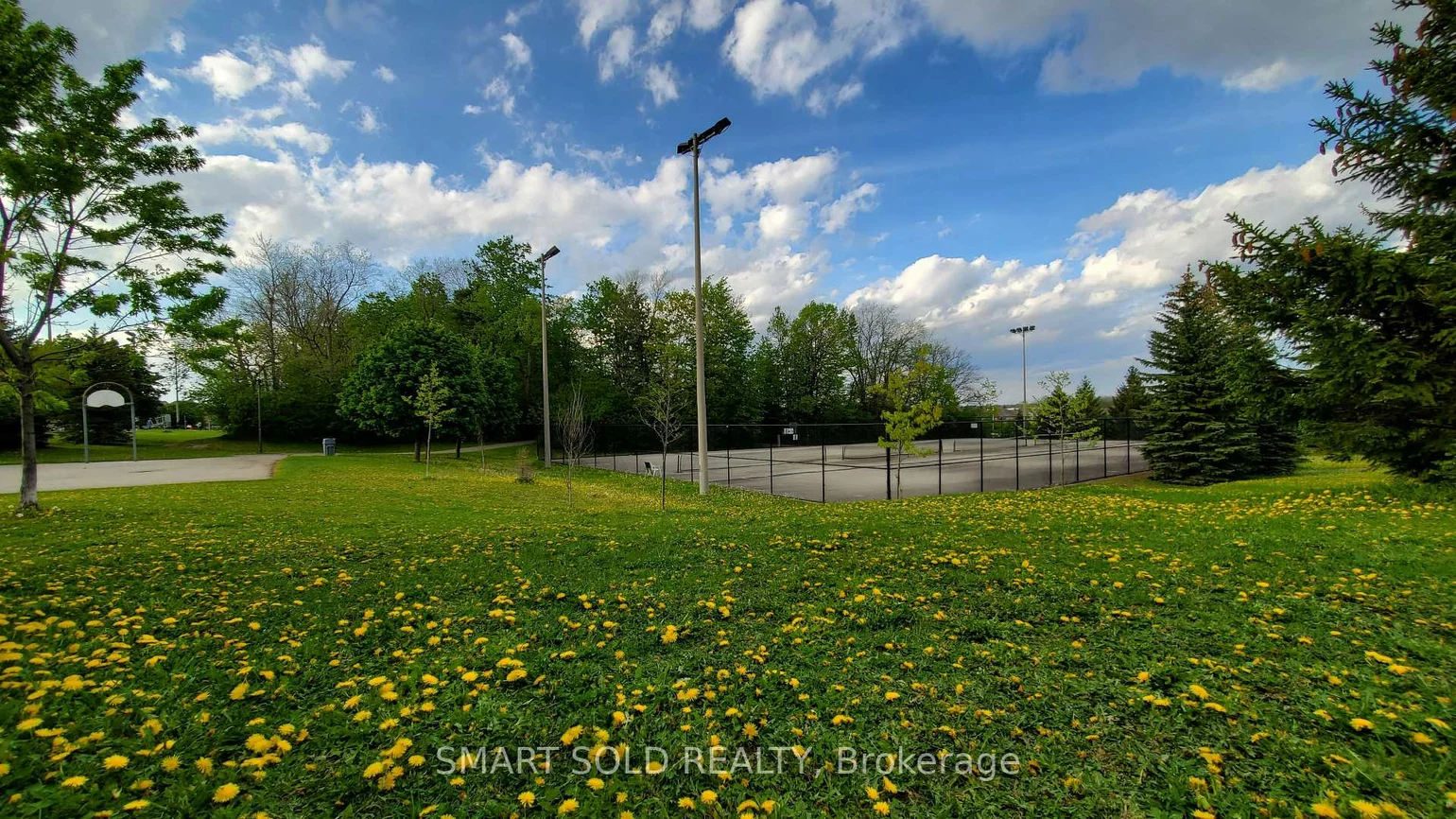 29, Shell, Rouge Woods, Richmond Hill