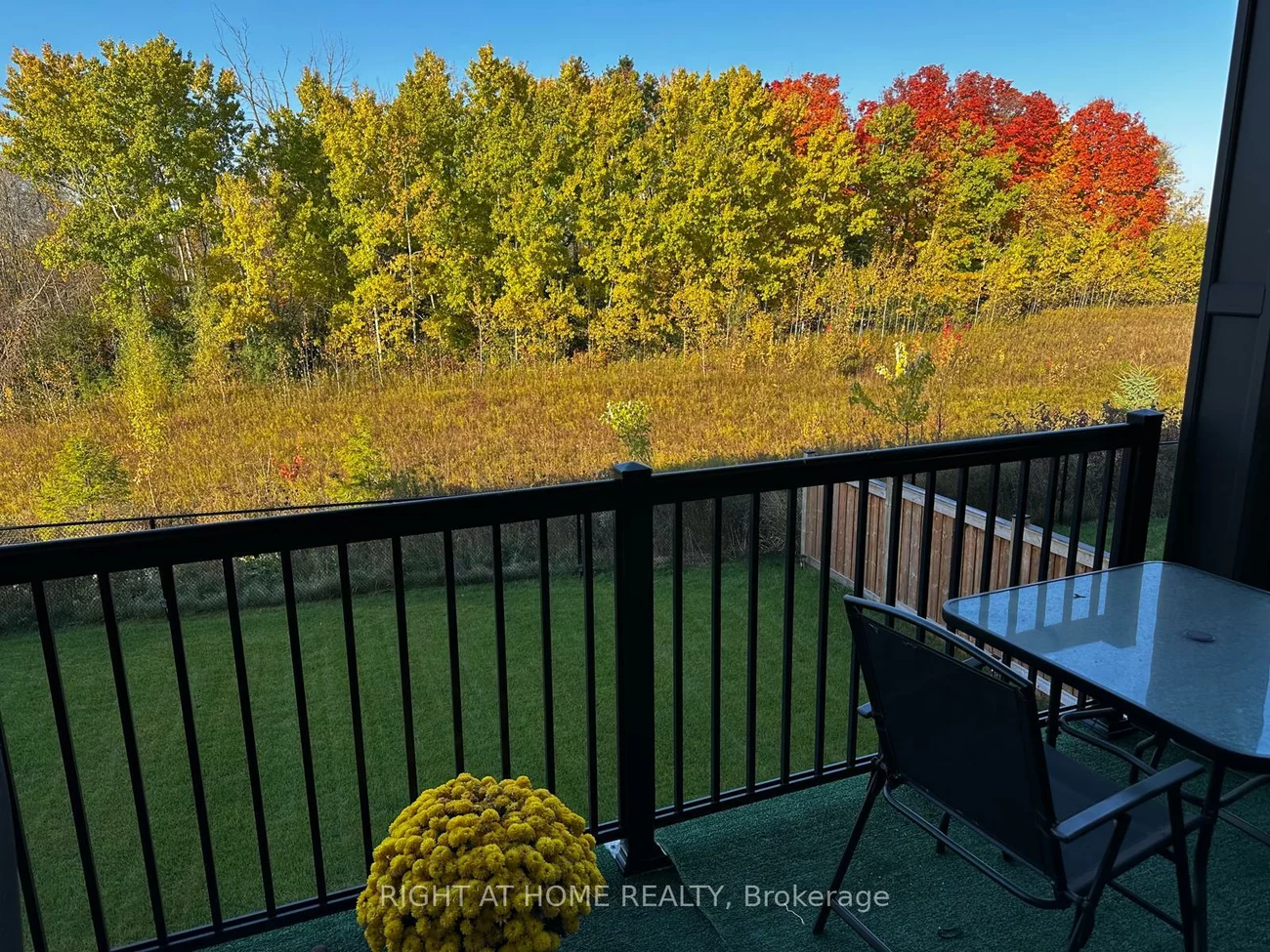 50, Hilts, Rural Richmond Hill, Richmond Hill