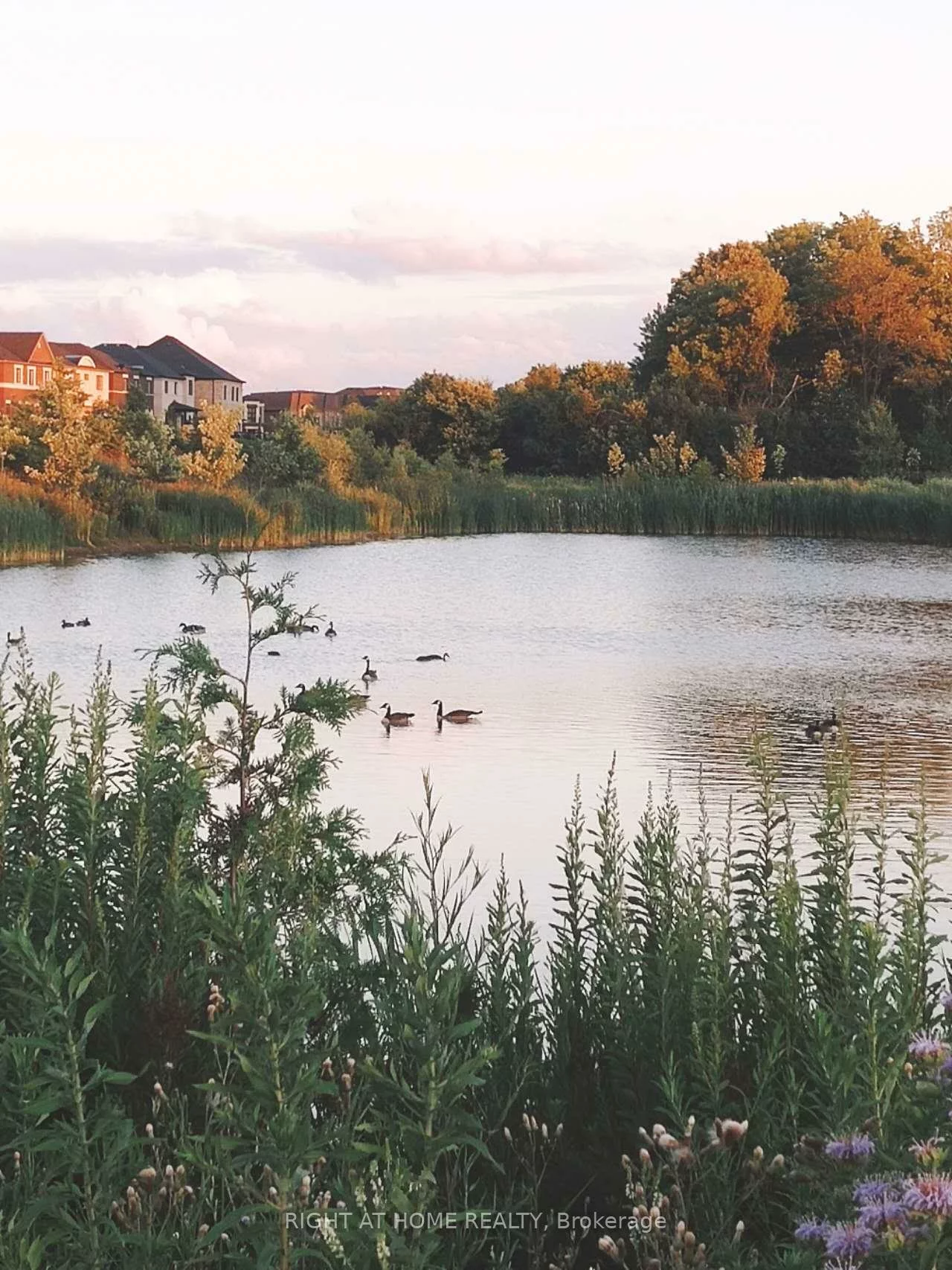 50, Hilts, Rural Richmond Hill, Richmond Hill