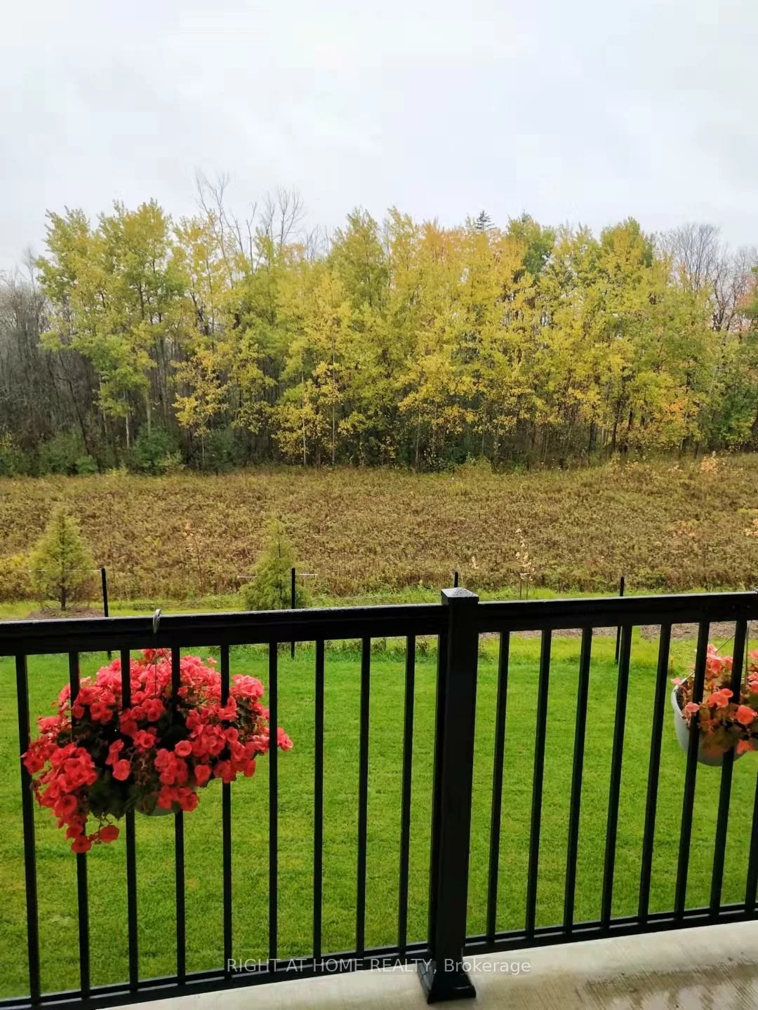 50, Hilts, Rural Richmond Hill, Richmond Hill
