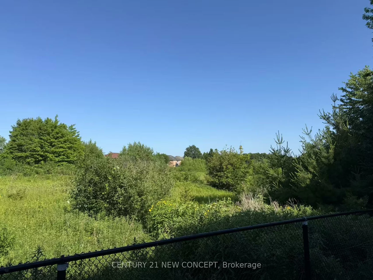 75, Alpaca, Jefferson, Richmond Hill