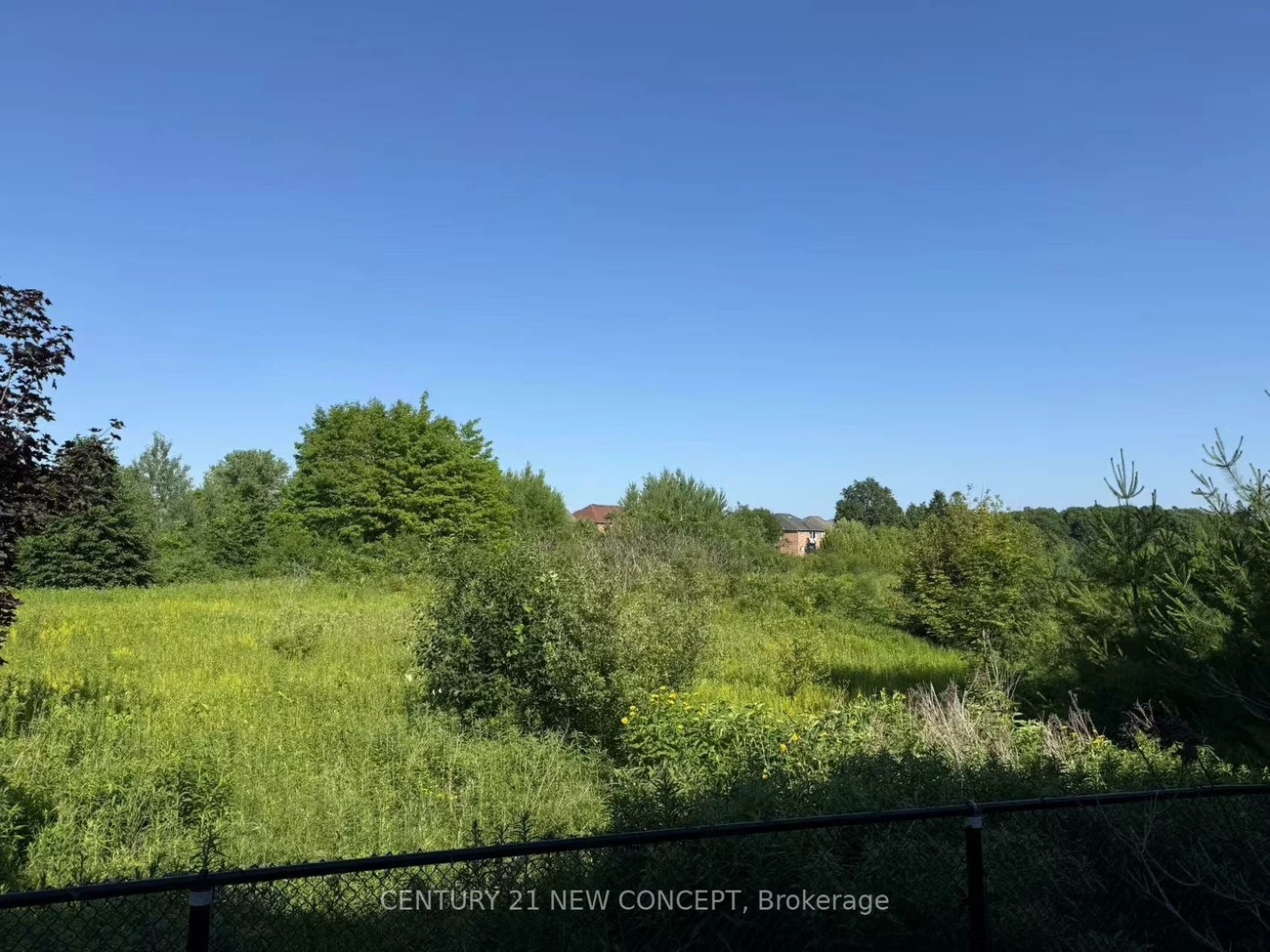 75, Alpaca, Jefferson, Richmond Hill