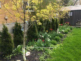 249, Lucas, Mill Pond, Richmond Hill