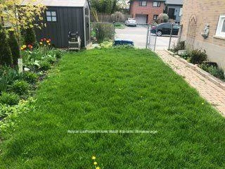 249, Lucas, Mill Pond, Richmond Hill