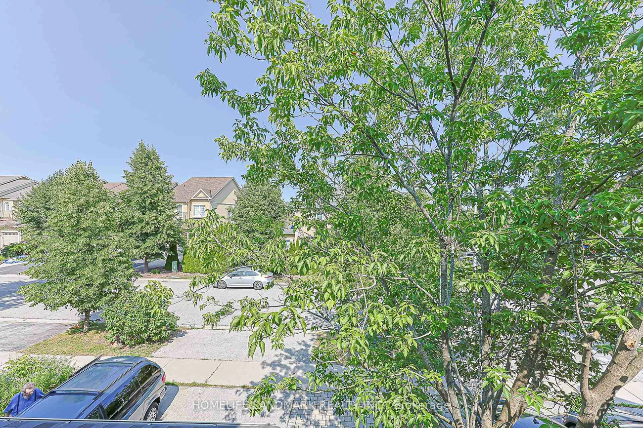 38, Romance, Rouge Woods, Richmond Hill