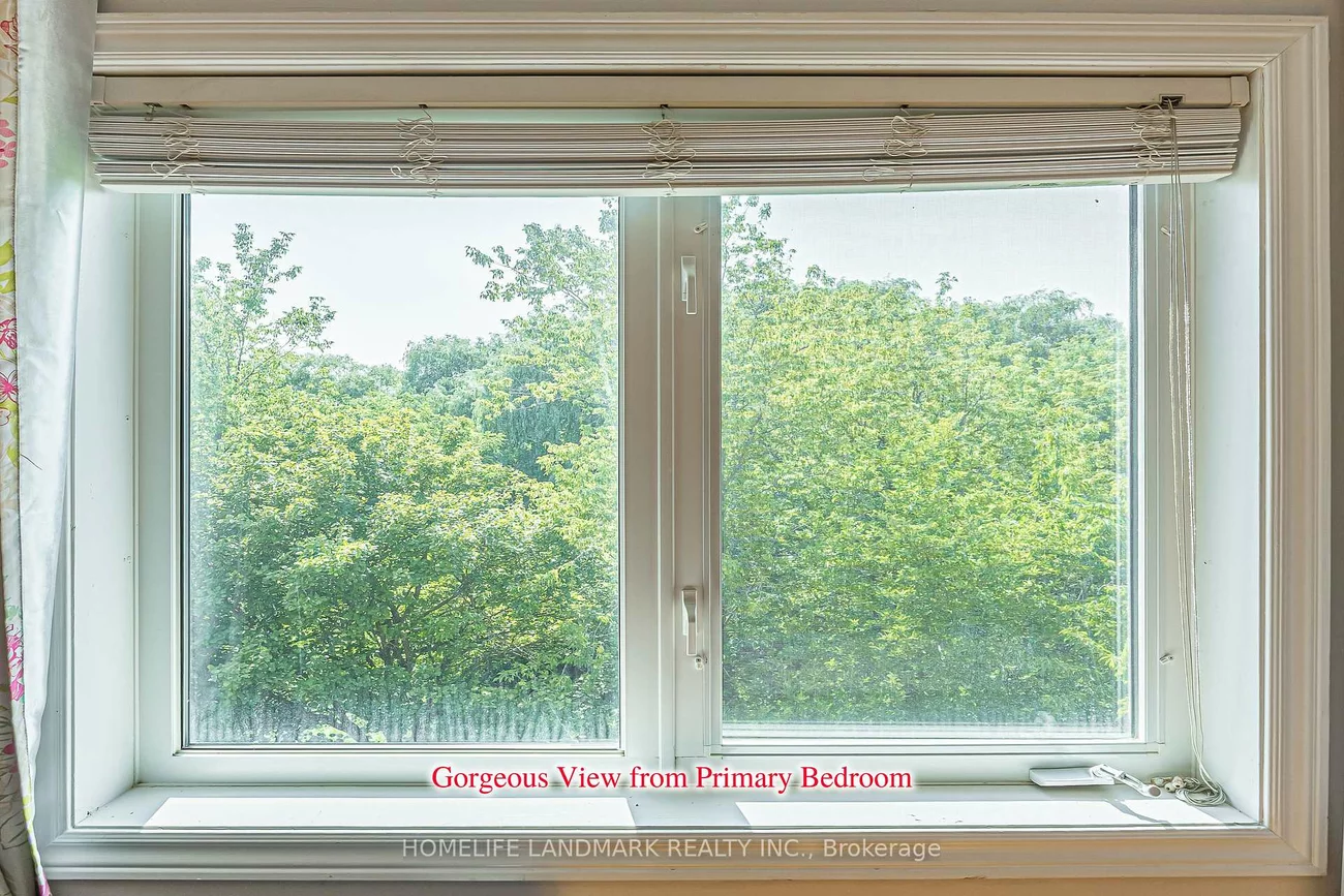 38, Romance, Rouge Woods, Richmond Hill