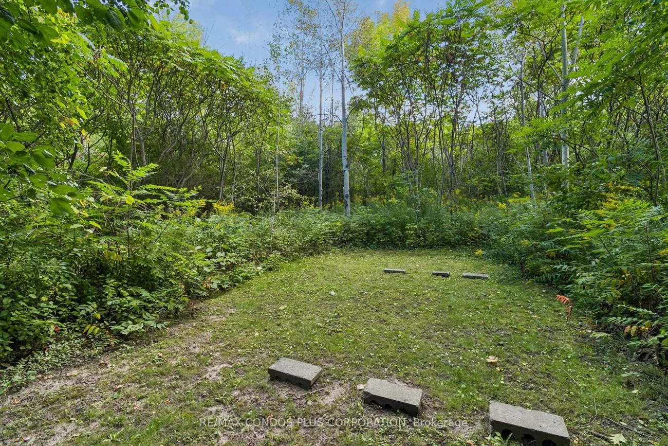 41, Maroon, Oak Ridges Lake Wilcox, Richmond Hill