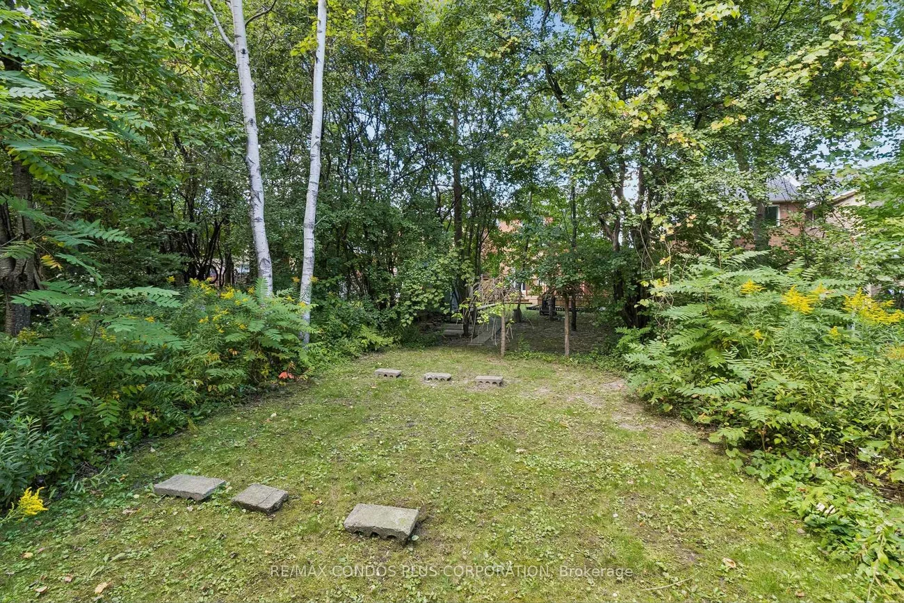 41, Maroon, Oak Ridges Lake Wilcox, Richmond Hill