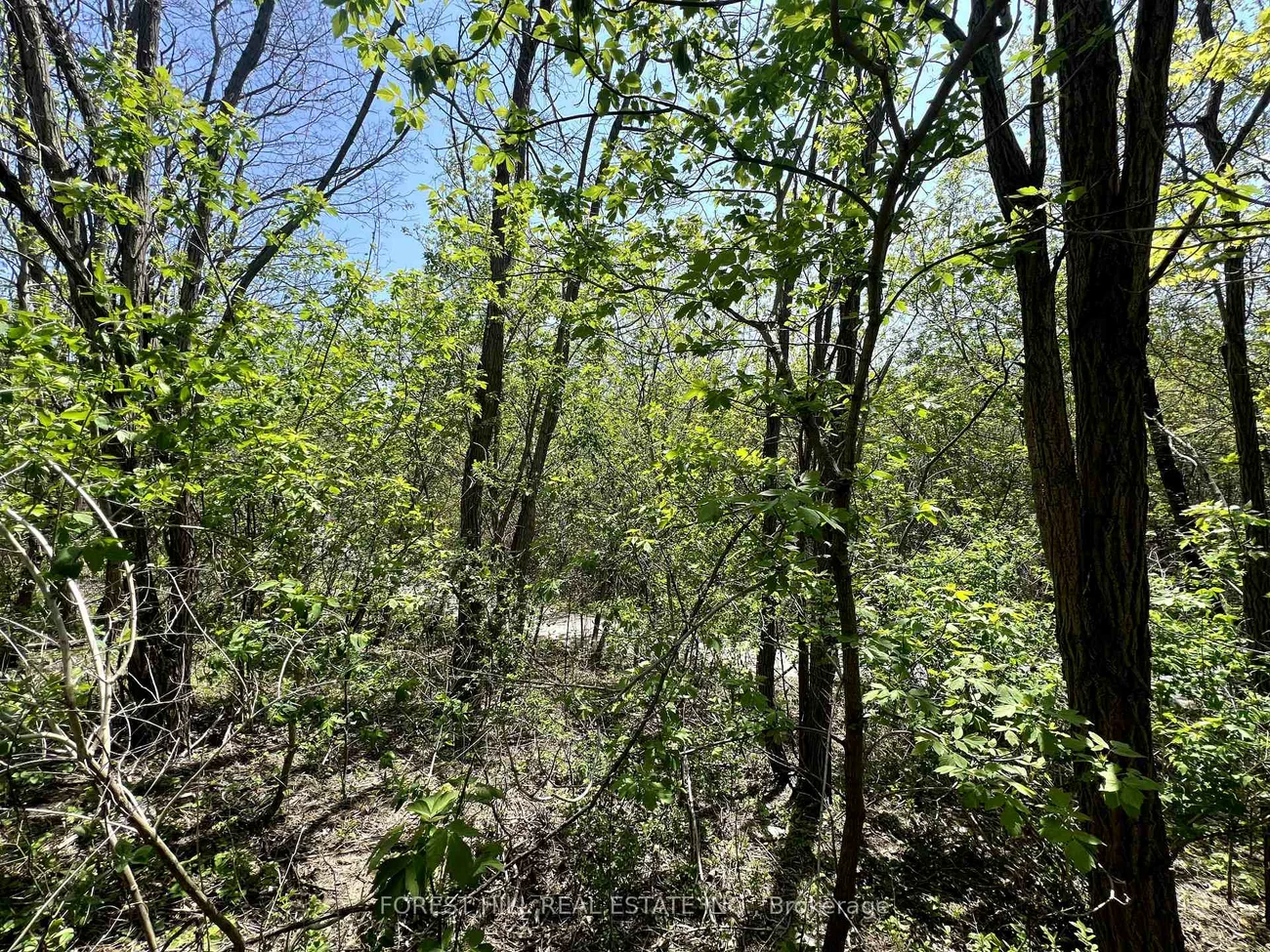 64, melbourne, Rouge Woods, Richmond Hill