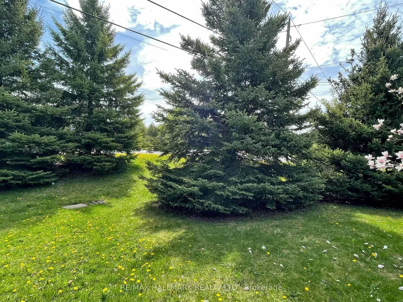 2, Snively, Oak Ridges Lake Wilcox, Richmond Hill