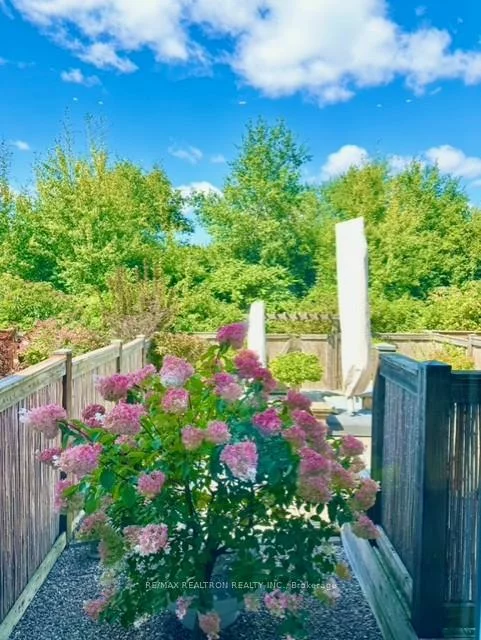 157, Dariole, Oak Ridges Lake Wilcox, Richmond Hill