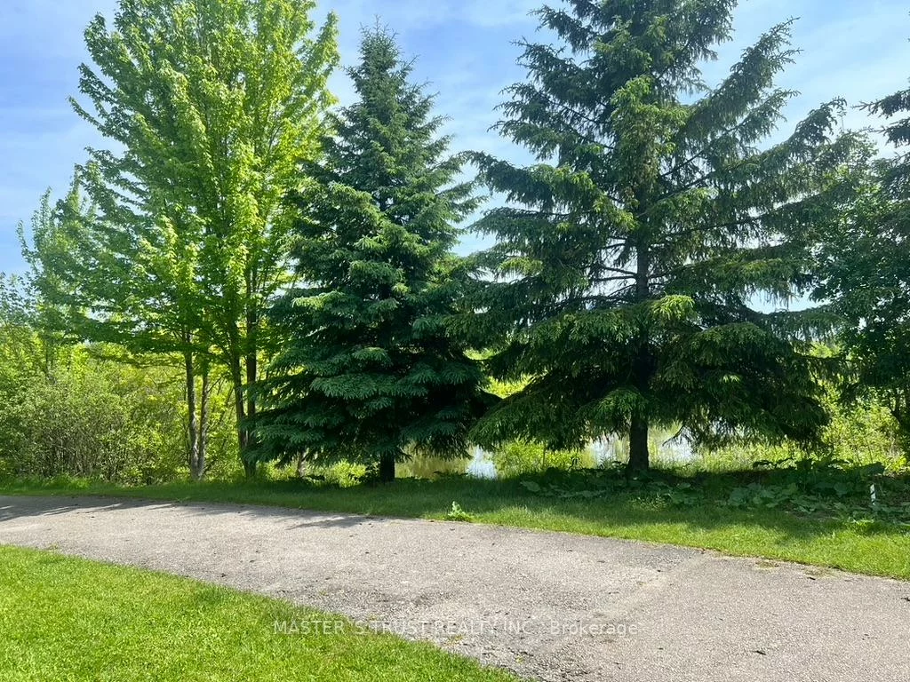 142, Redstone, Rouge Woods, Richmond Hill