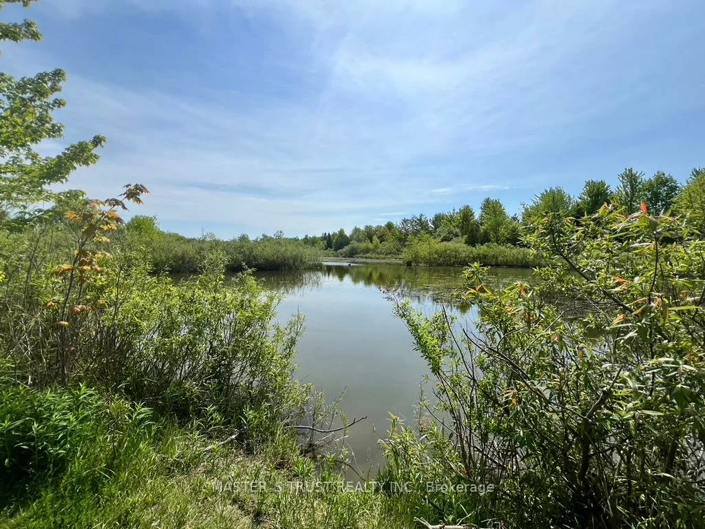 142, Redstone, Rouge Woods, Richmond Hill