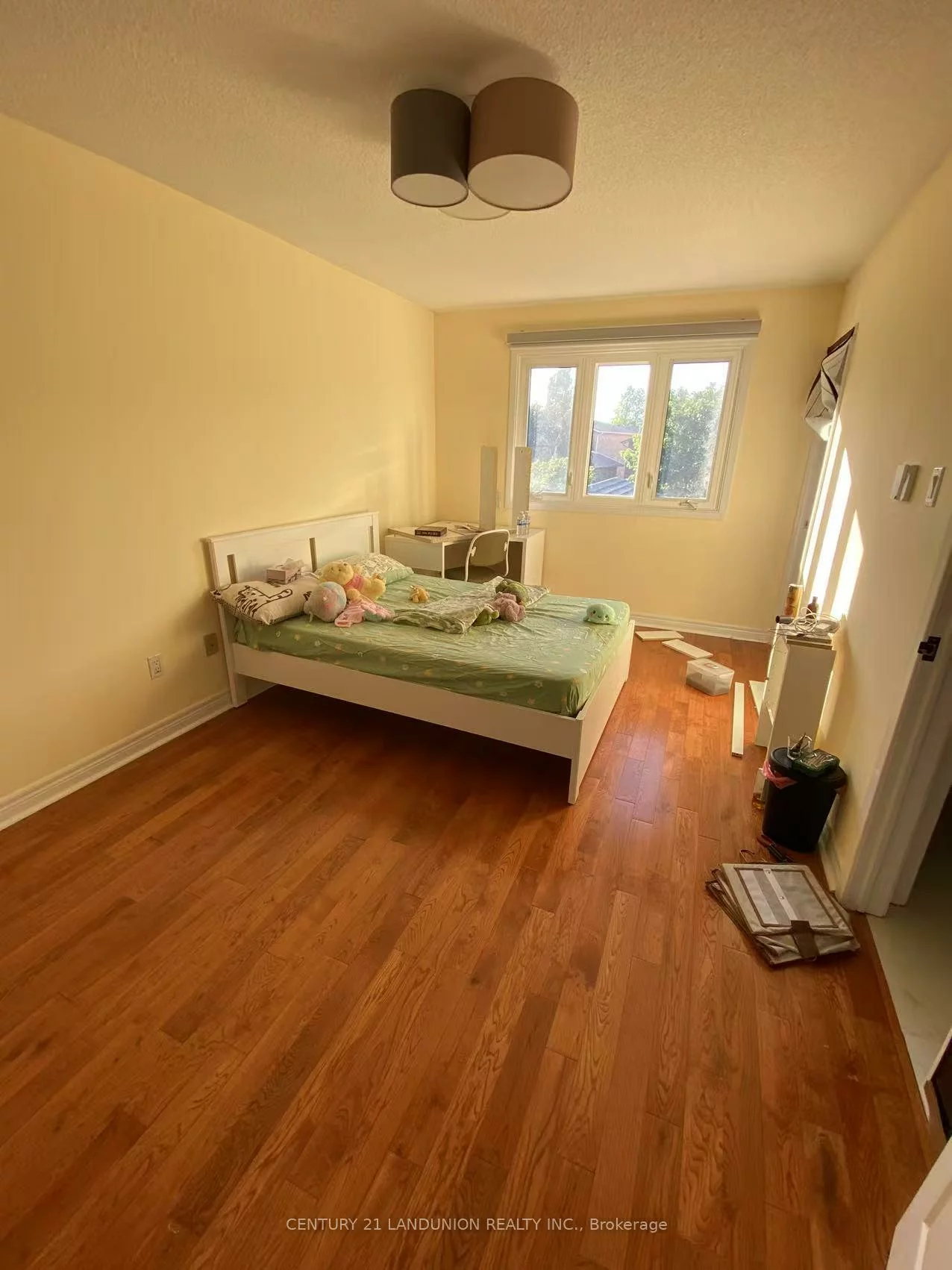 11, Belvedere, Crosby, Richmond Hill