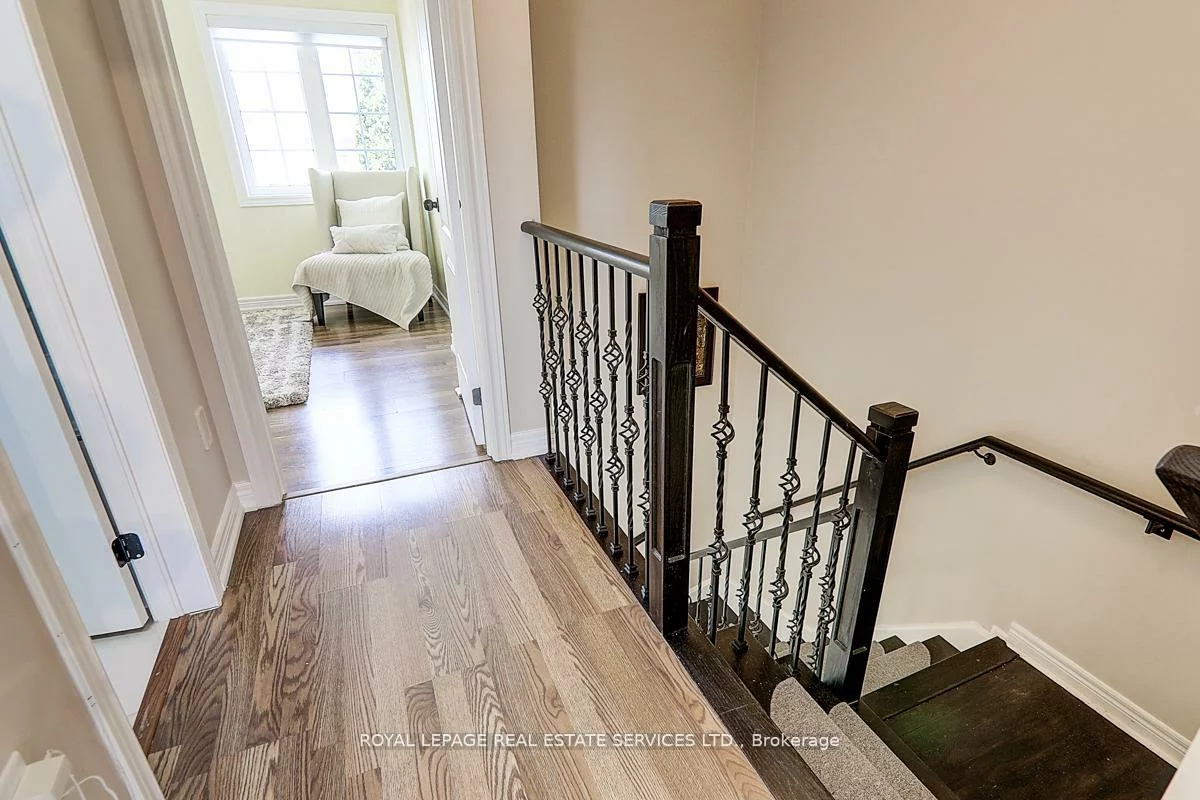 17, Venture, Rouge Woods, Richmond Hill
