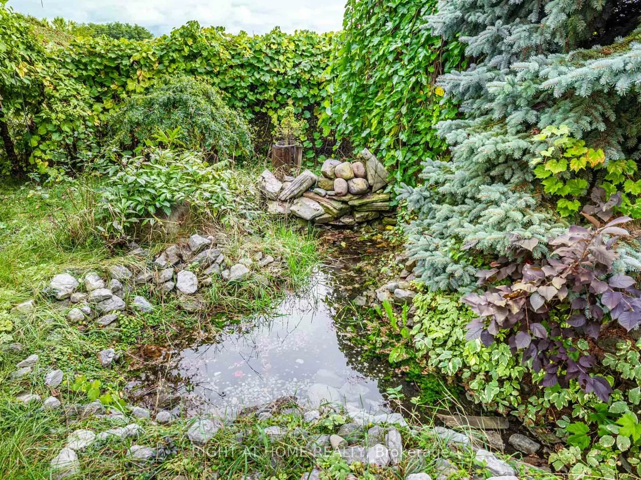 43, farmstead, Rouge Woods, Richmond Hill