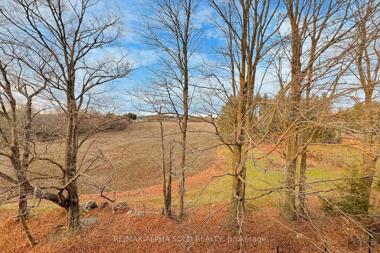 66, Puisaya, Rural Richmond Hill, Richmond Hill