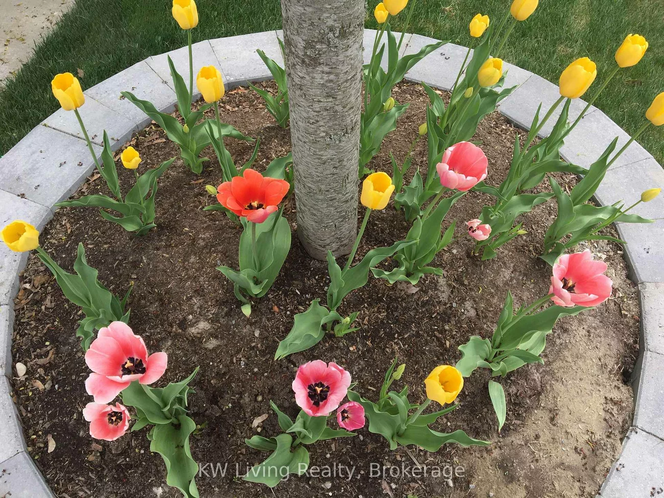 17, Tarmack, Jefferson, Richmond Hill