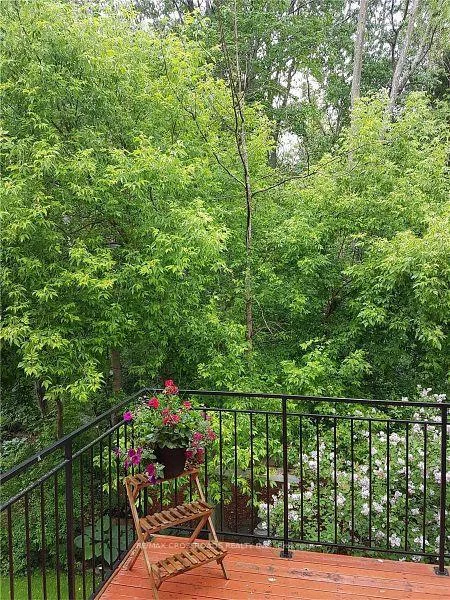 93, Westbury, Westbrook, Richmond Hill