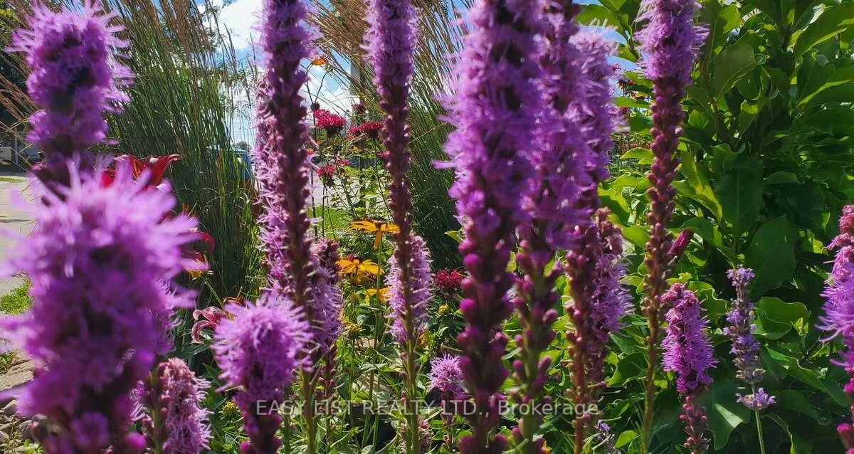 345, Tower Hill, Jefferson, Richmond Hill