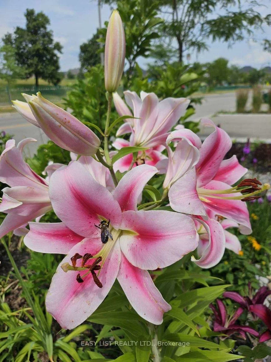 345, Tower Hill, Jefferson, Richmond Hill