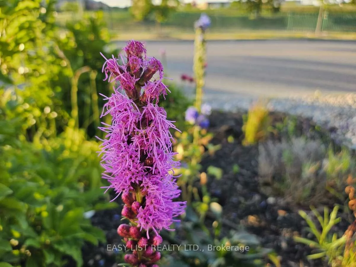 345, Tower Hill, Jefferson, Richmond Hill