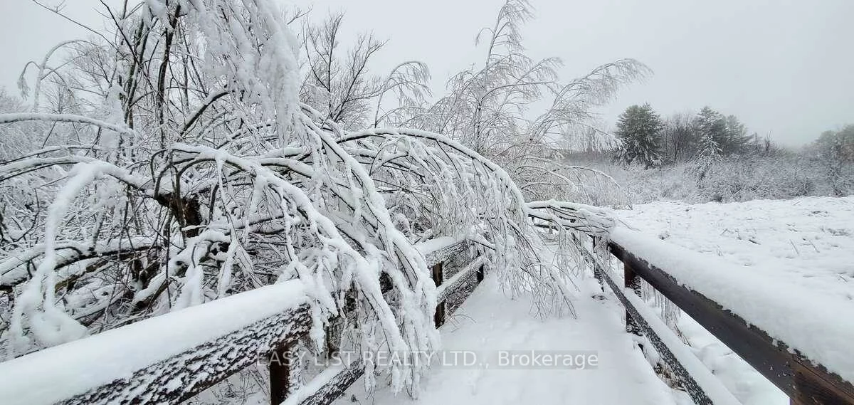 345, Tower Hill, Jefferson, Richmond Hill